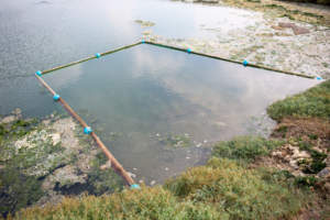 Tide Mill Pond Weed Trap 3