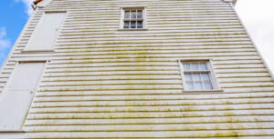 Repaint the Mill 2025