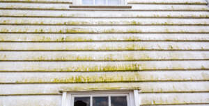 Repaint the Mill 2025