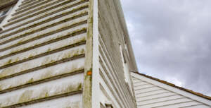 Repaint the Mill 2025